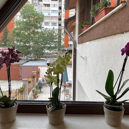 Отель Sofia Family House - Free Parking Экстерьер фото