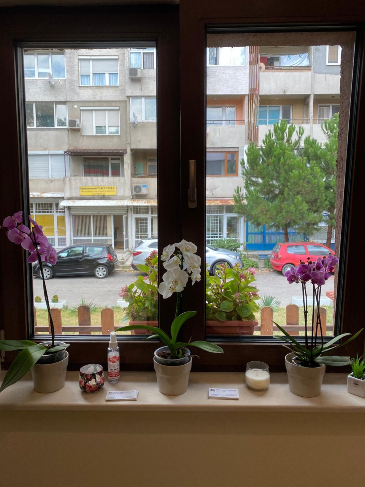 Отель Sofia Family House - Free Parking Экстерьер фото